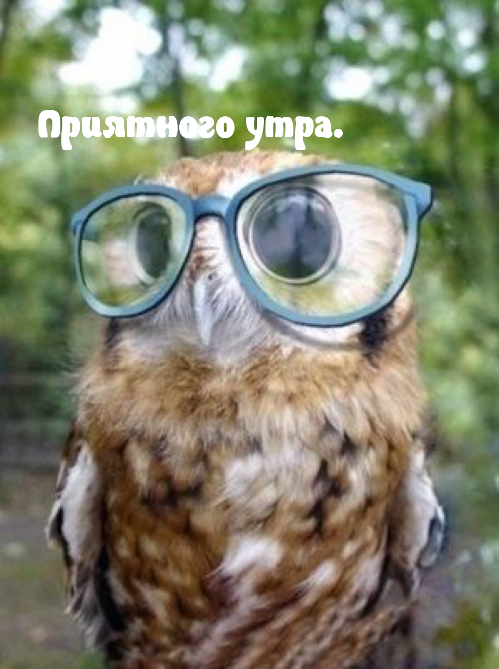 Приятного утра.