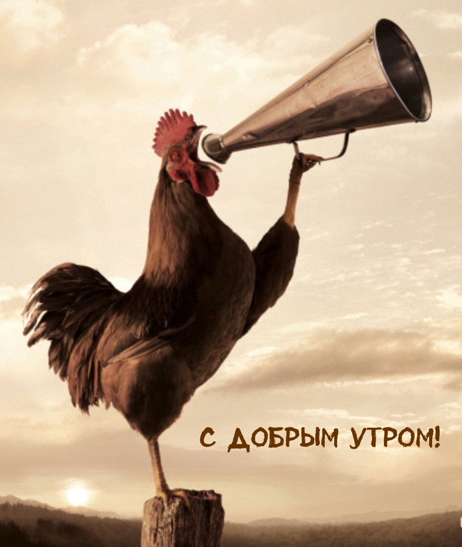 С добрым утром!