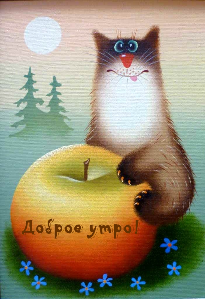 Доброе утро!