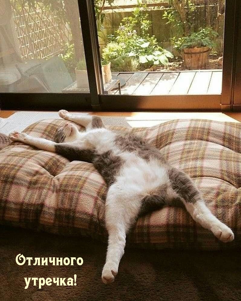 Отличного утречка!