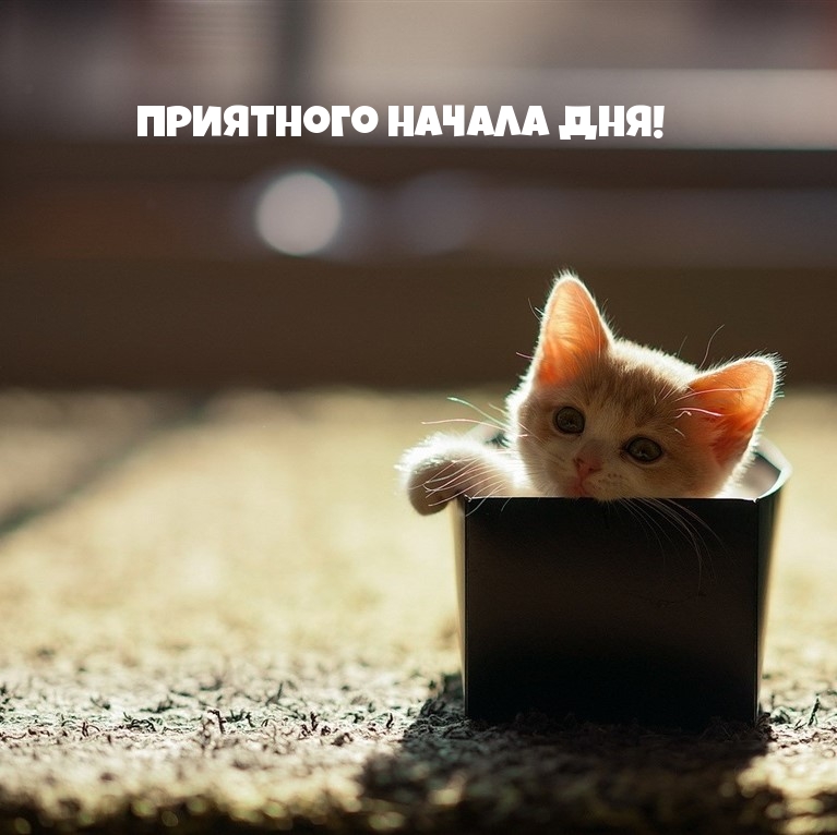 Приятного начала дня!