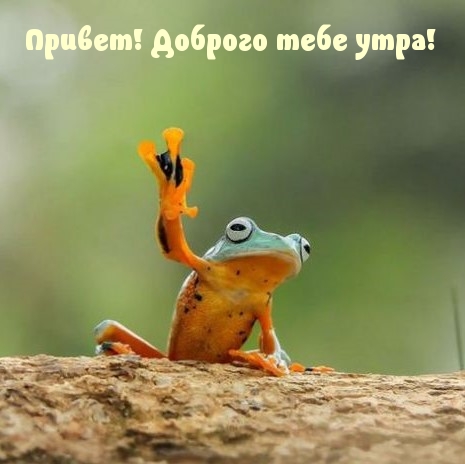 Привет! Доброго тебе утра!