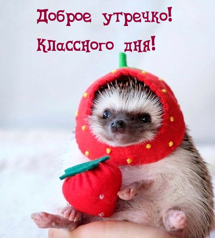 Доброе утречко! Классного дня!