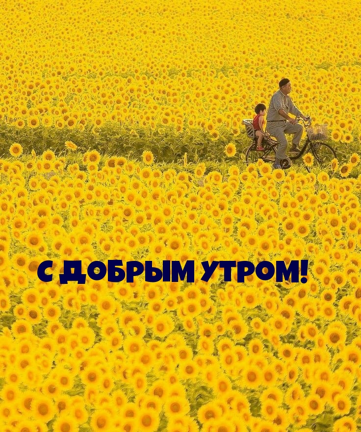 С добрым утром!