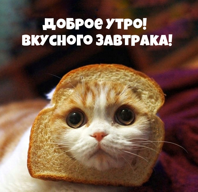 Доброе утро! Вкусного завтрака!