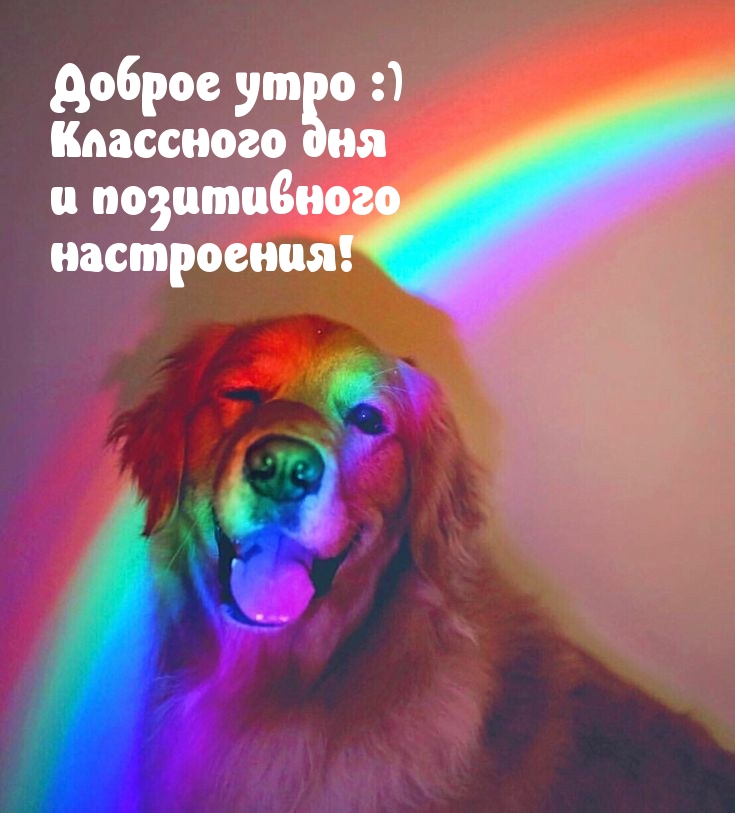 Доброе утро :) Классного дня и позитивного настроения!