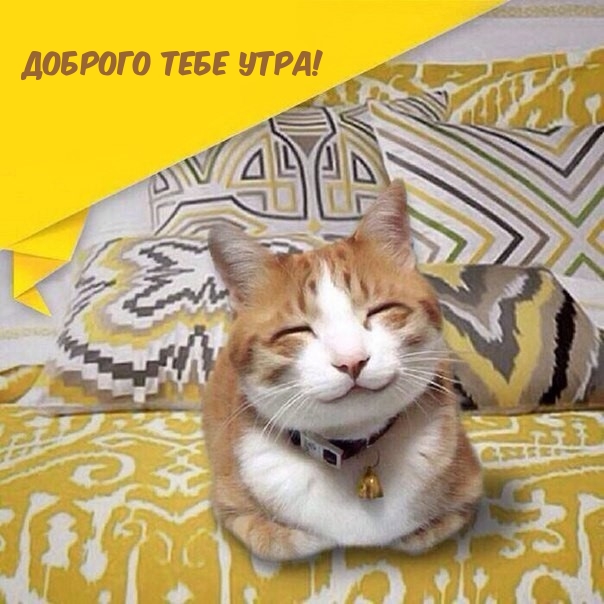 Доброго тебе утра!