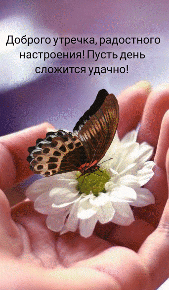 Доброго утречка, радостного настроения! Пусть день сложится удачно!