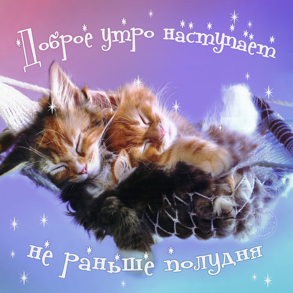 Доброе утро наступает не раньше полудня
