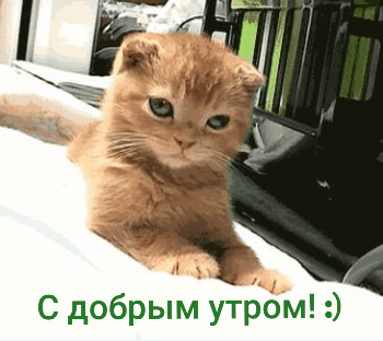 С добрым утром :)