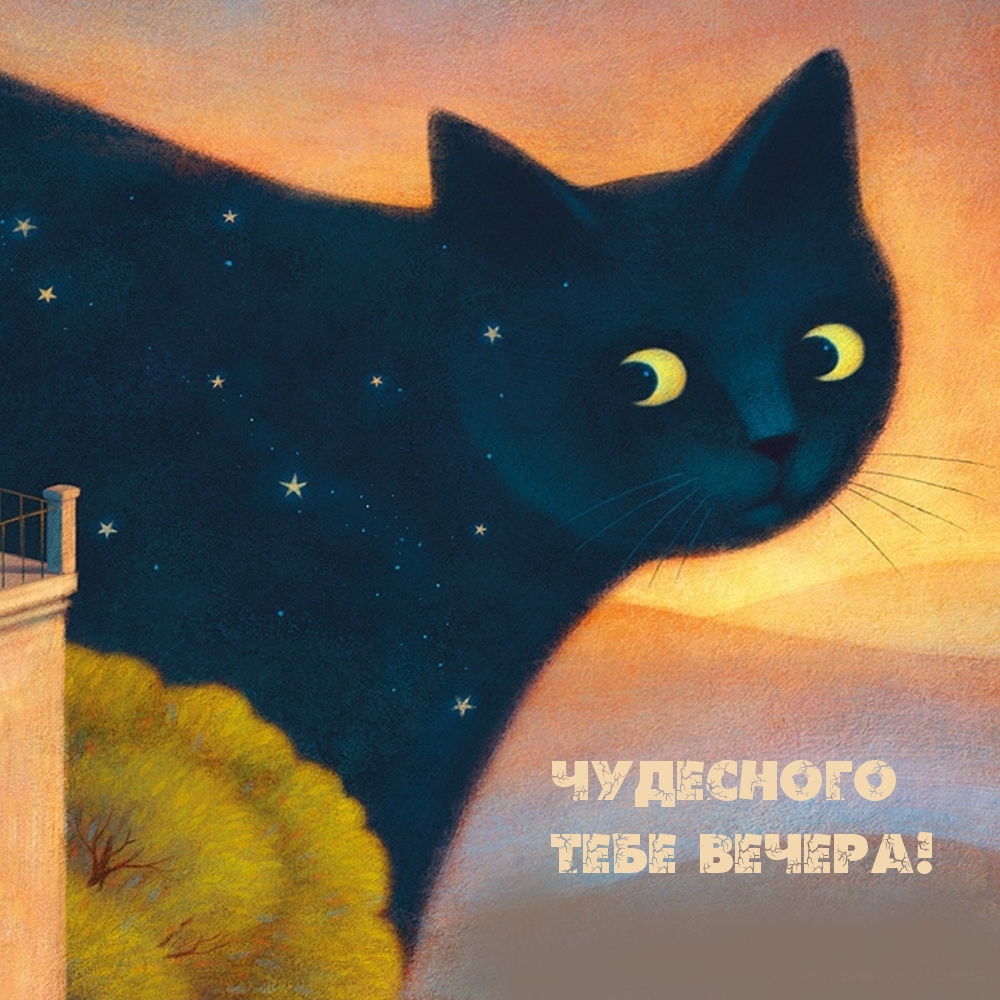 Чудесного тебе вечера!