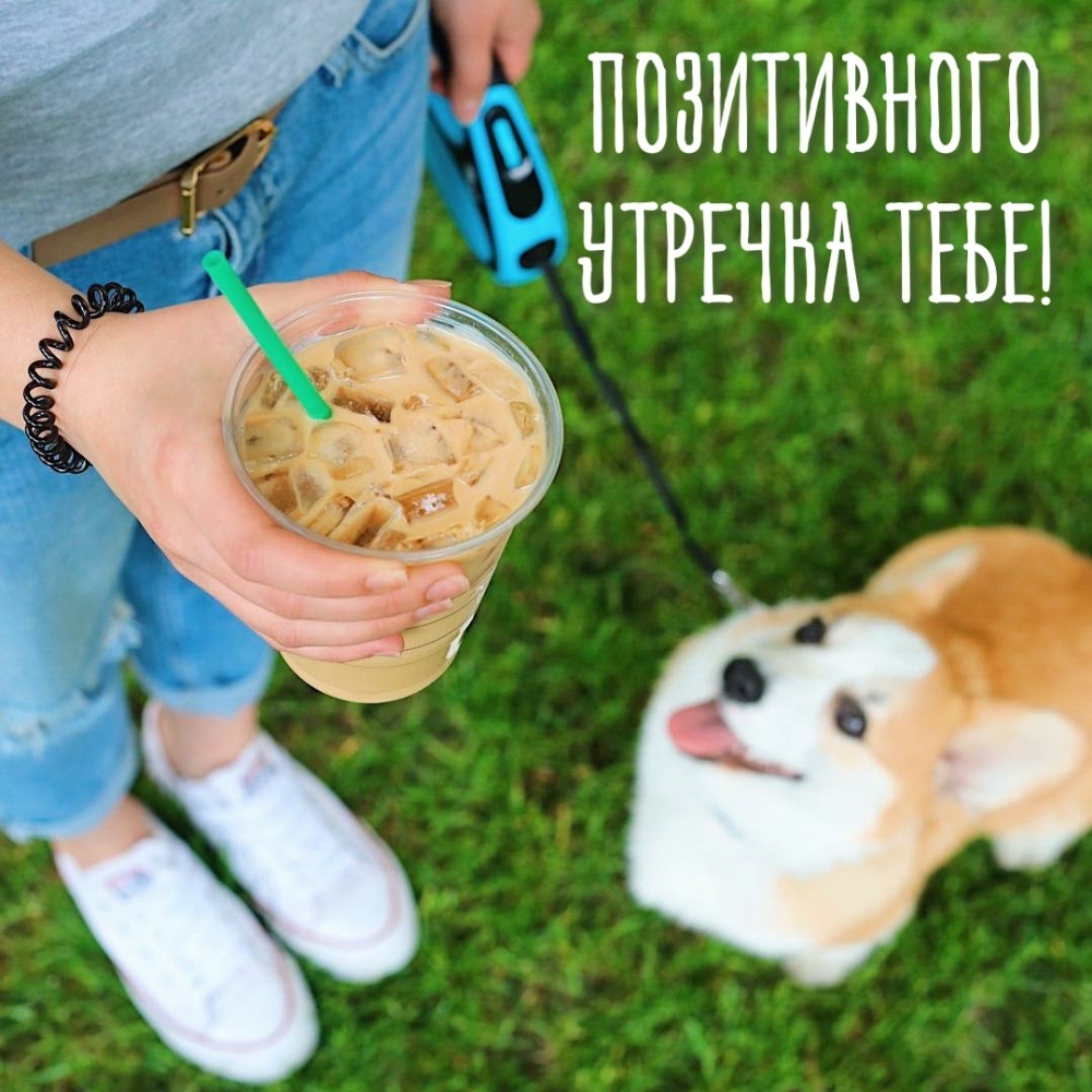Позитивного утречка тебе!