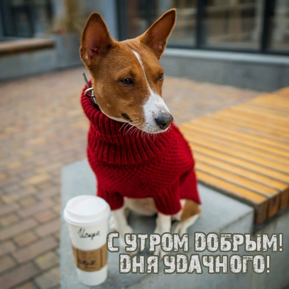 С утром добрым! Дня удачного!