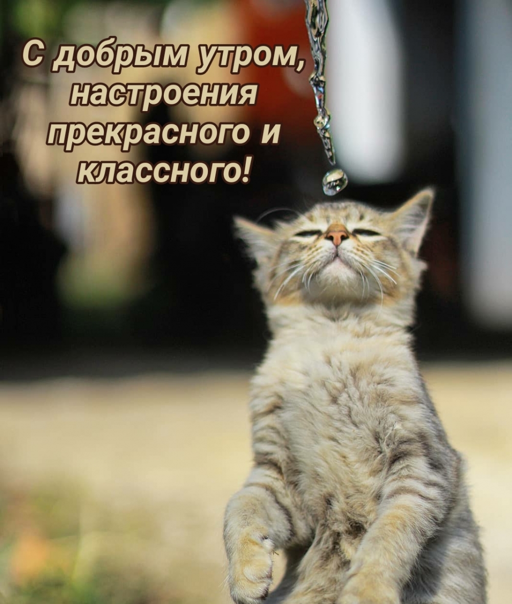 С добрым утром, настроения прекрасного и классного!