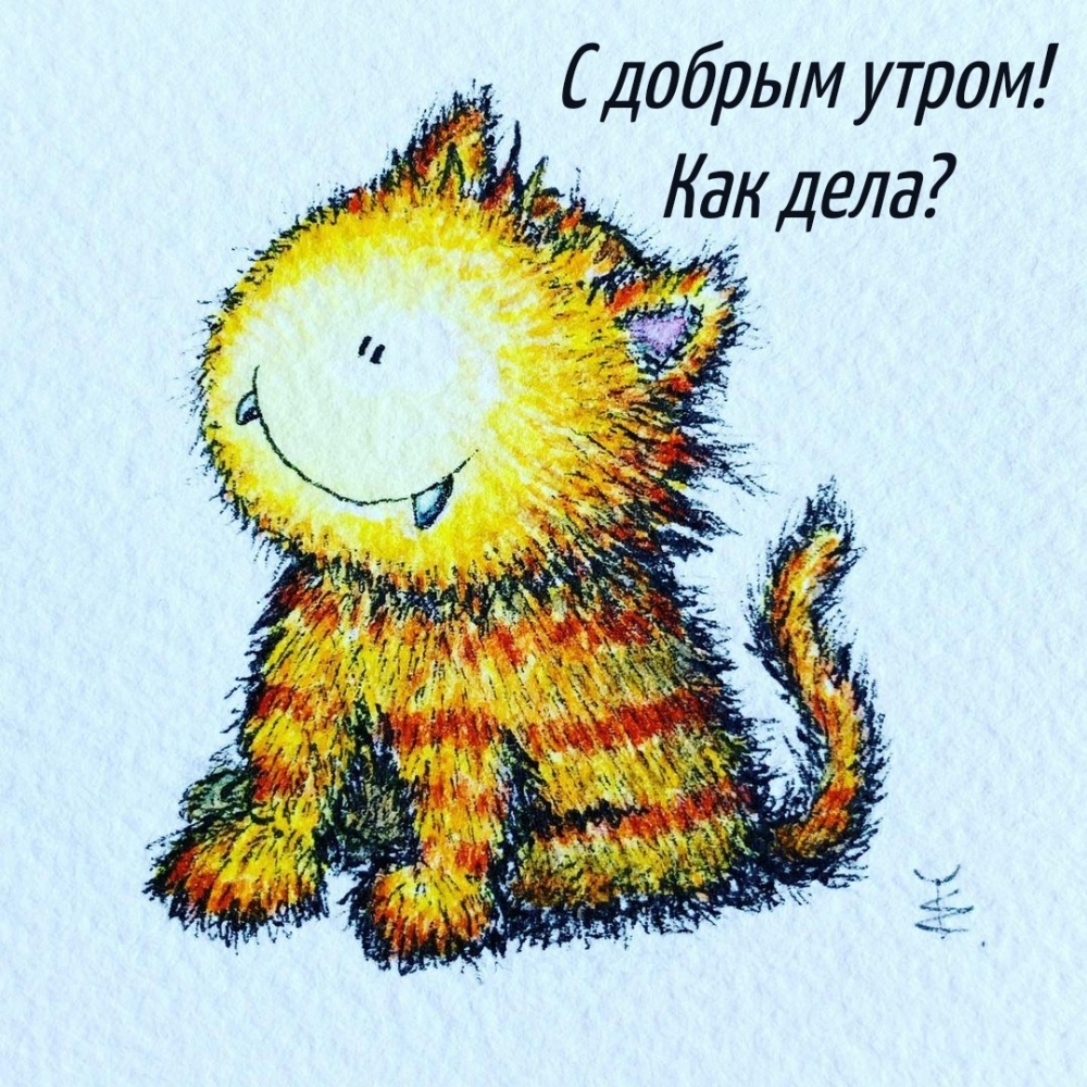 С добрым утром! Как дела?