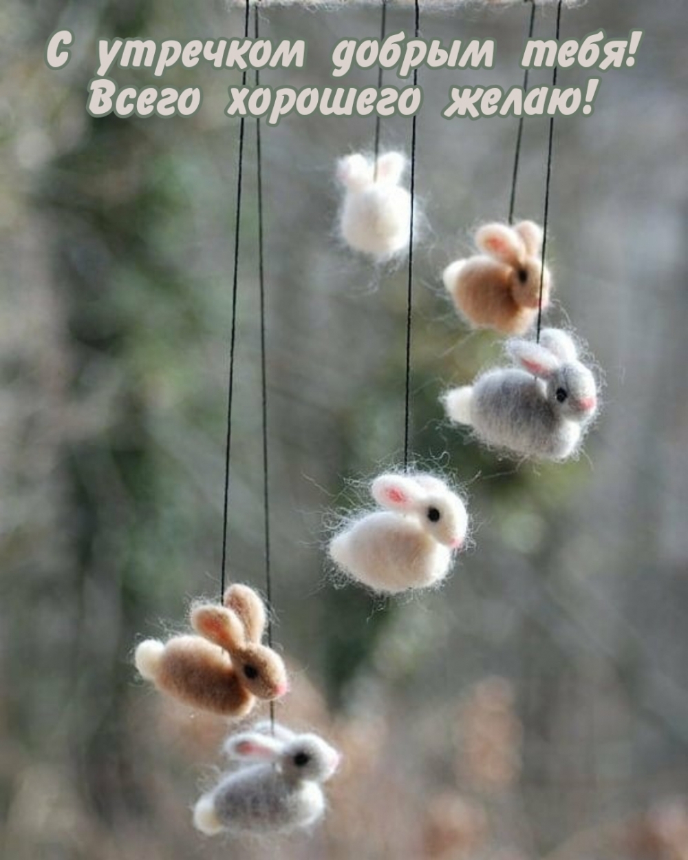 С утречком добрым тебя! Всего хорошего желаю!