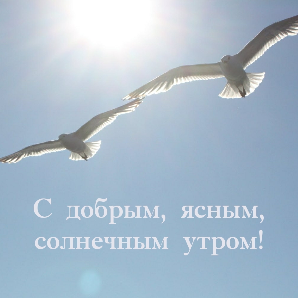 С добрым, ясным, солнечным утром!