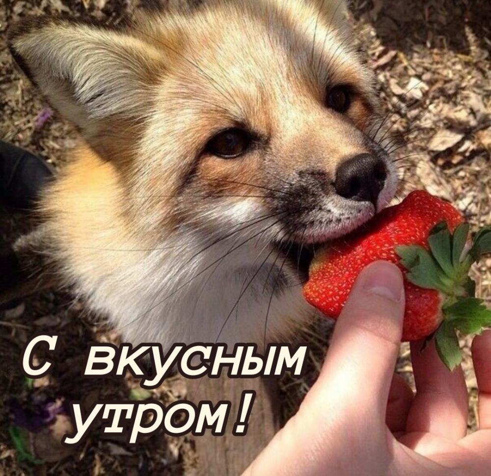 С вкусным утром!