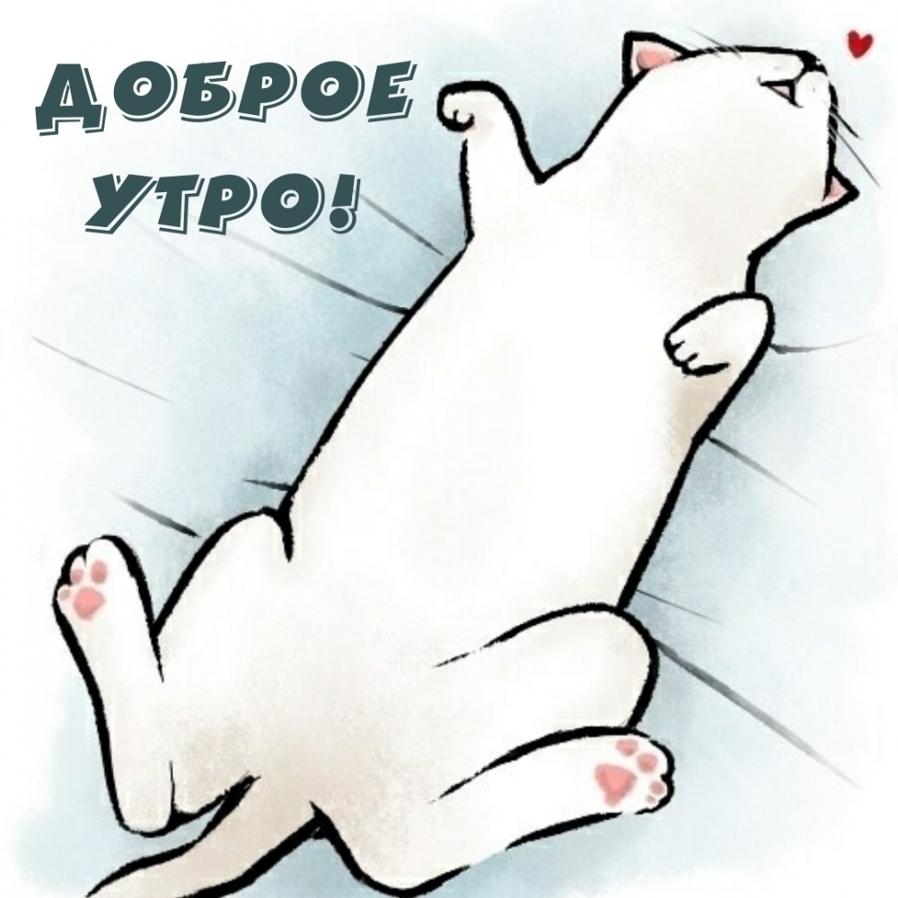 Доброе утро!