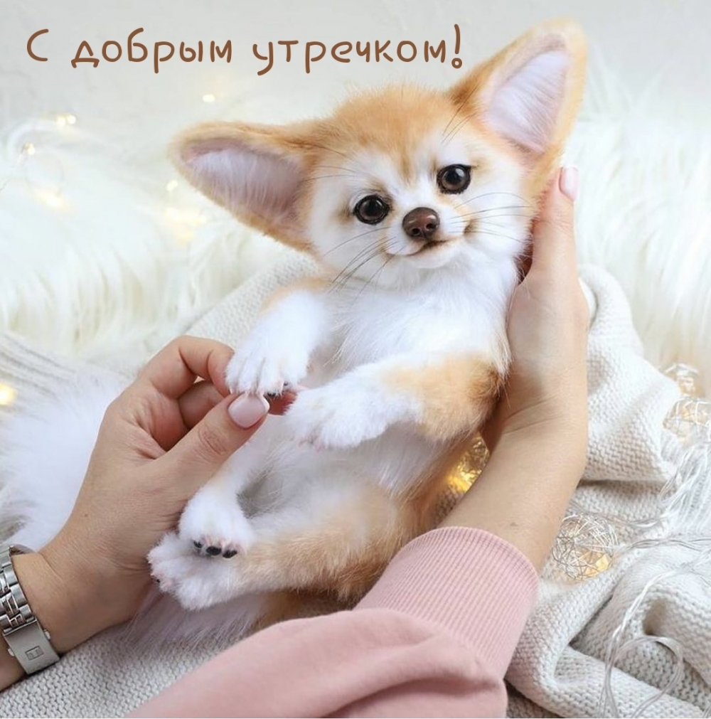 С добрым утречком!