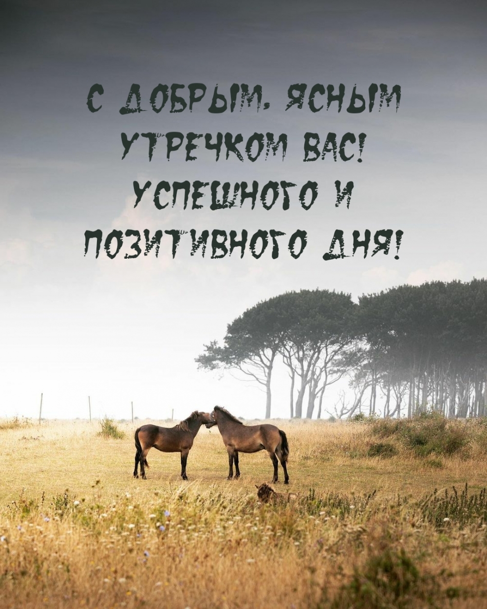 С добрым, ясным утречком вас! Успешного и позитивного дня!