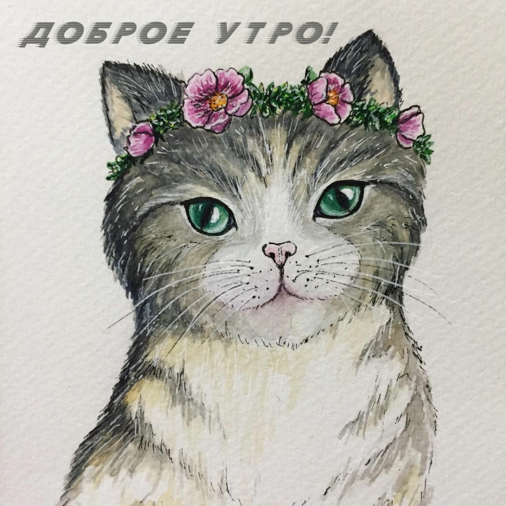 Доброе утро!