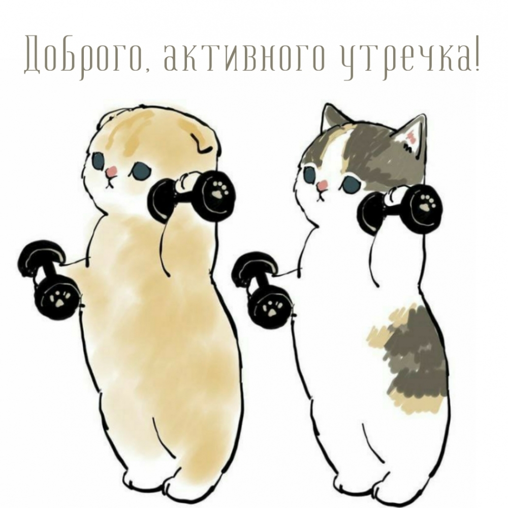 Доброго, активного утречка!