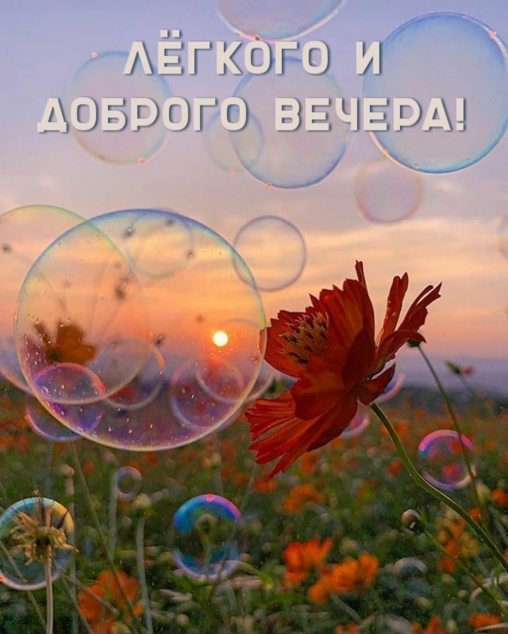 Лёгкого и доброго вечера!
