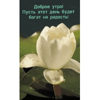 Доброе утро! Пусть этот день будет богат на радость!
