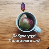 Доброе утро! Позитивного дня!