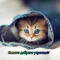 Самого доброго утречка!