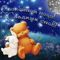 Спокойной ночи! Сладких снов!