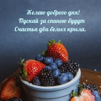 Желаю доброго дня! Пускай за спиною будут счастья два белых крыла.
