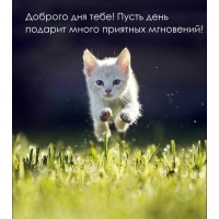 Пусть день подарит много приятных мгновений!