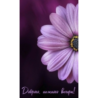 Доброго, нежного вечера!