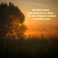 Вставай скорее, утро июльское на дворе