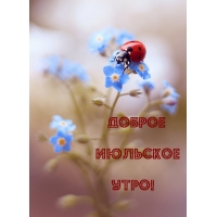 Доброе июльское утро!