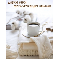 Доброе утро! Пусть утро будет нежным.