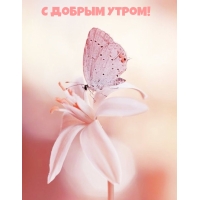 С Добрым утром!