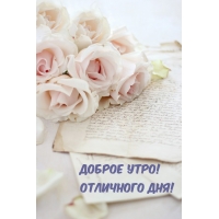 Доброе утро! Отличного дня!