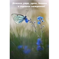 Нежного утра, удачи, везения и хорошего настроения!