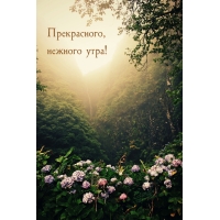 Прекрасного, нежного утра!
