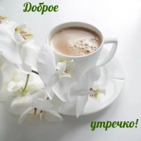 Доброе утречко!