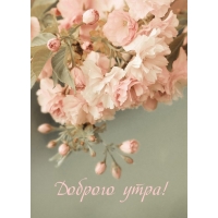 Доброго утра!