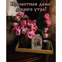 Прелестная дама, доброго утра!