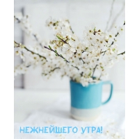 Нежнейшего утра!