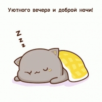 Уютного вечера и доброй ночи!