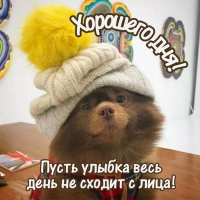 Хорошего дня! Пусть улыбка весь день не сходит с лица!