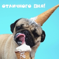 Отличного дня!