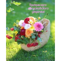 Прекрасного августовского утречка!